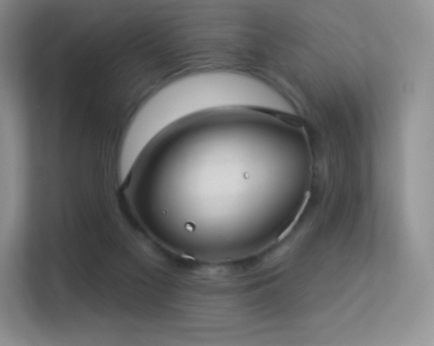 X0000113550117200909251046