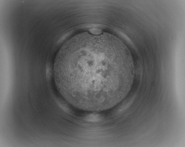 X0000113550119200909251046