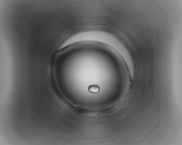 X0000113550120200909251046