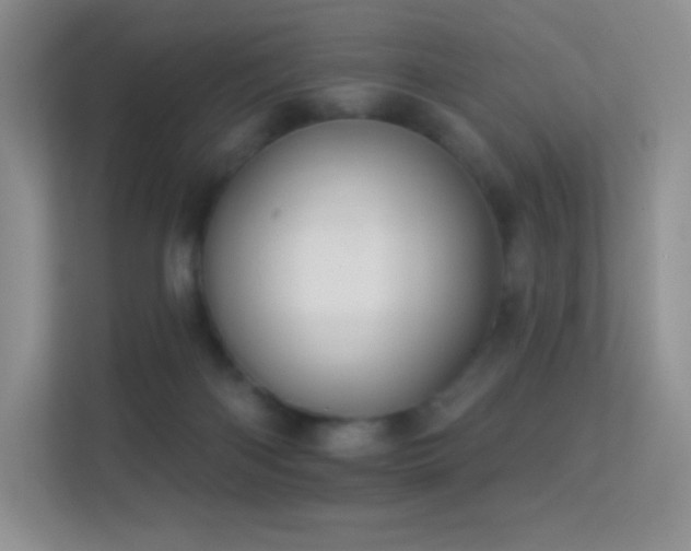 X0000113550122200909251046