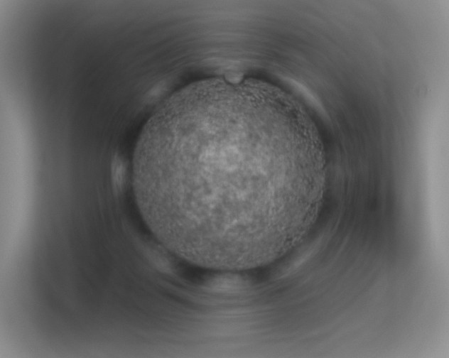 X0000113550123200909251046