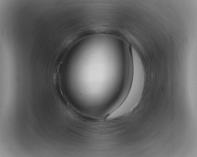 X0000113550124200909251046