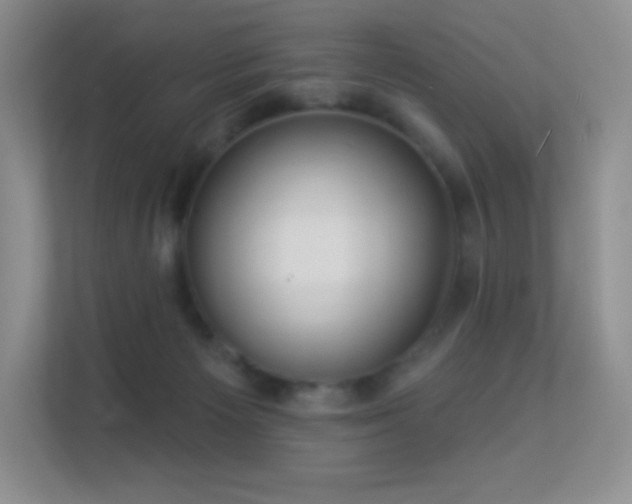 X0000113550125200909251046