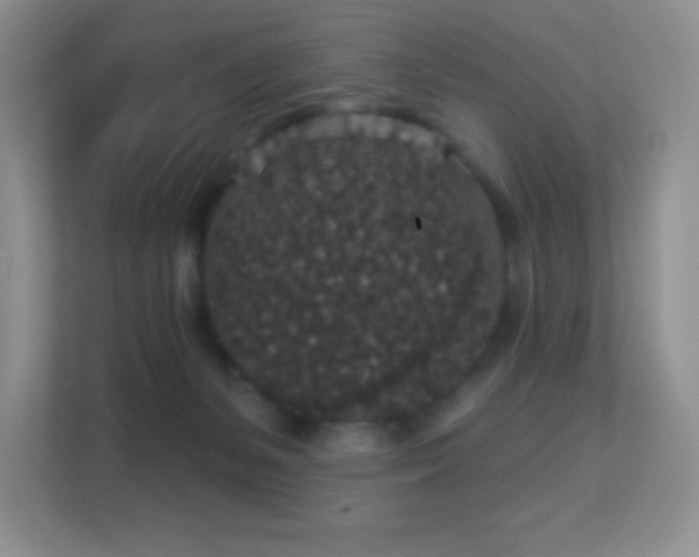 X0000113550127200909251046