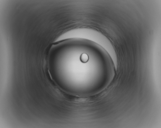 X0000113550129200909251046