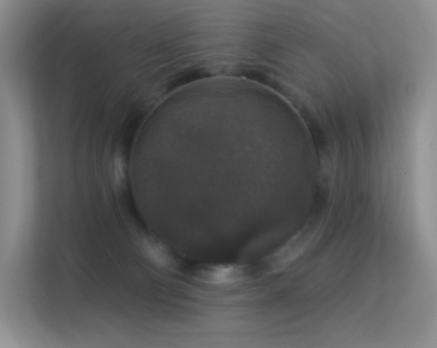 X0000113550130200909251046