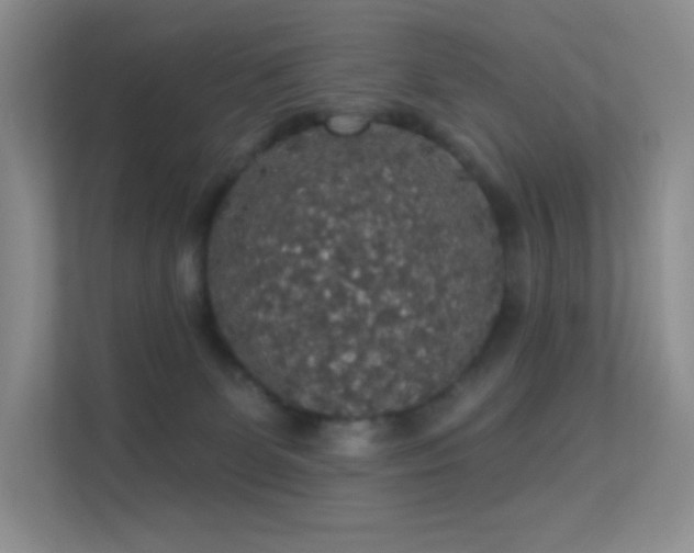 X0000113550131200909251046