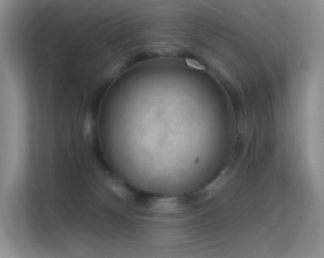 X0000113550132200909251046