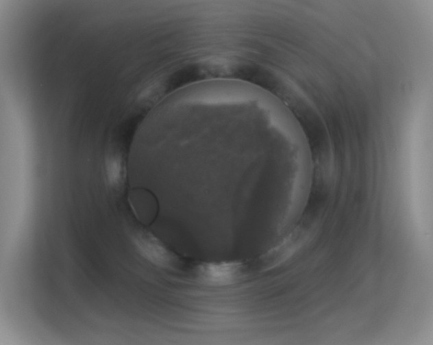 X0000113550134200909251046