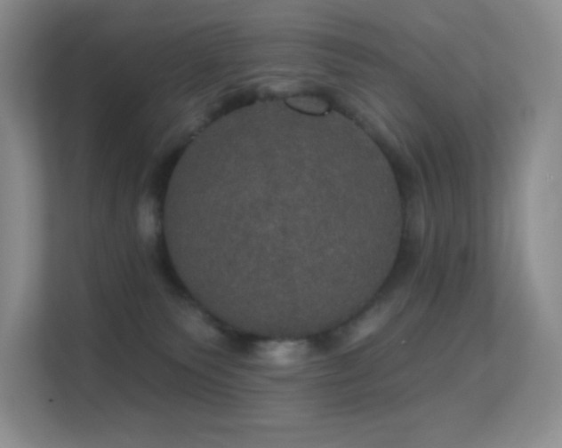 X0000113550135200909251046