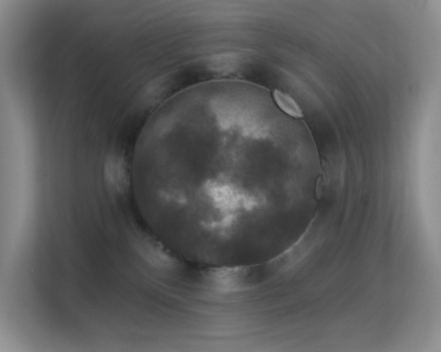 X0000113550136200909251046