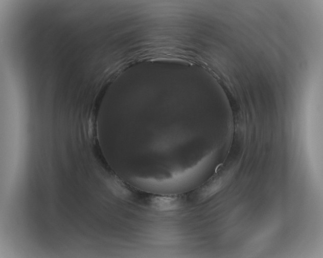 X0000113550139200909251045