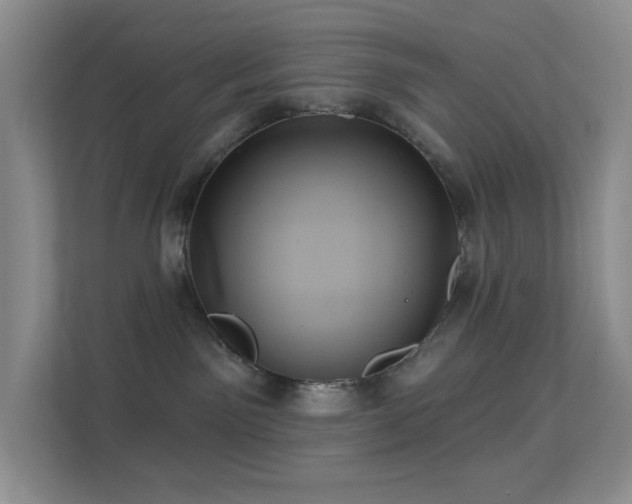 X0000113550141200909251045