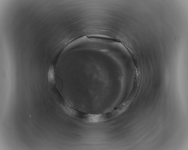 X0000113550143200909251045