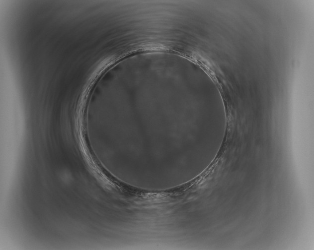 X0000113550145200909251045