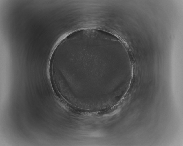 X0000113550147200909251045