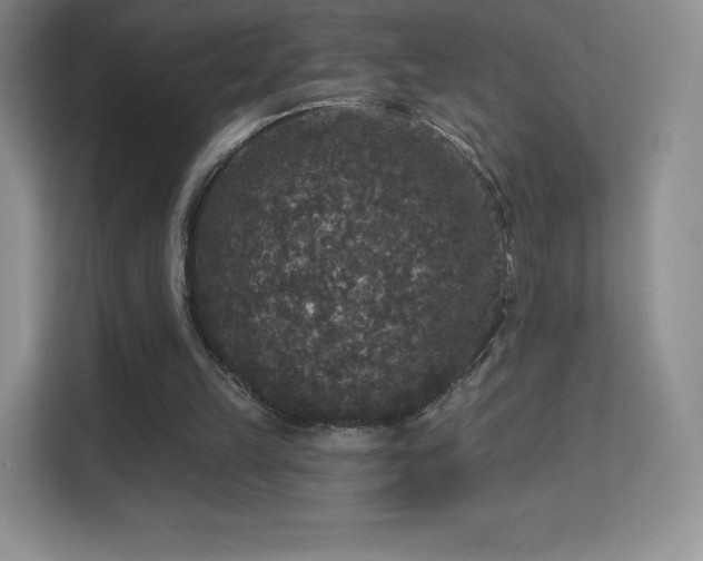 X0000113550149200909251045