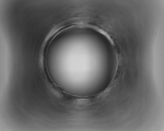 X0000113550150200909251045