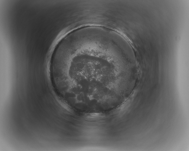 X0000113550151200909251045