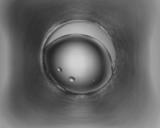 X0000113550152200909251045