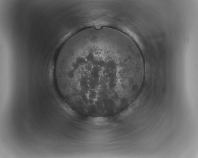 X0000113550153200909251045