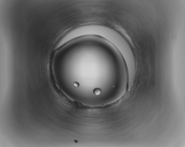 X0000113550154200909251045