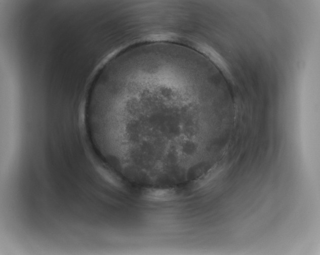 X0000113550155200909251045