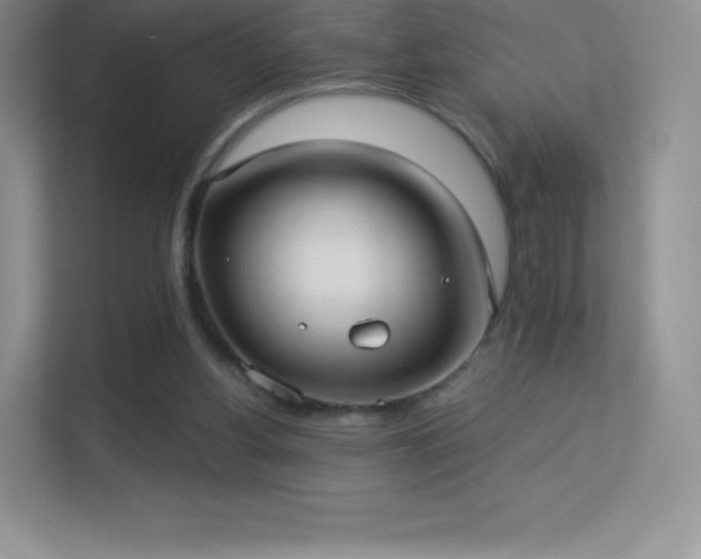 X0000113550156200909251045