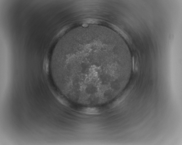 X0000113550157200909251045