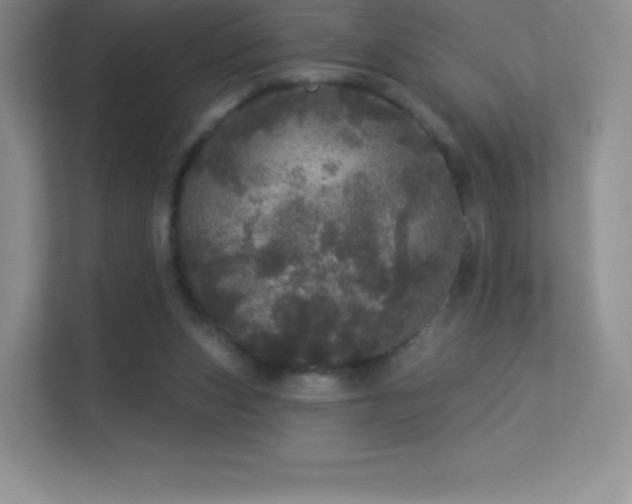 X0000113550159200909251045