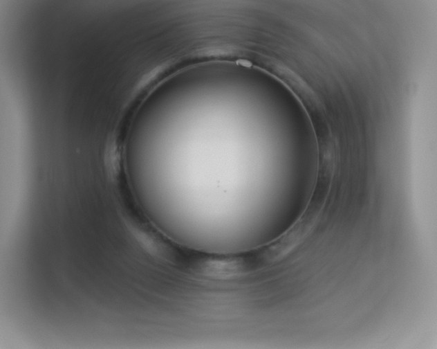 X0000113550160200909251045