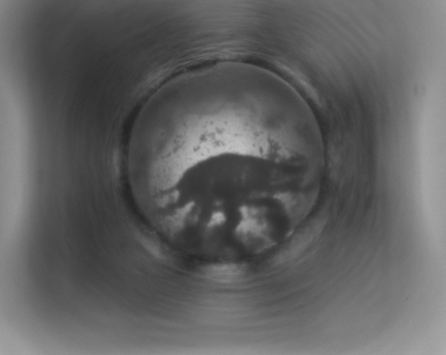 X0000113550161200909251045