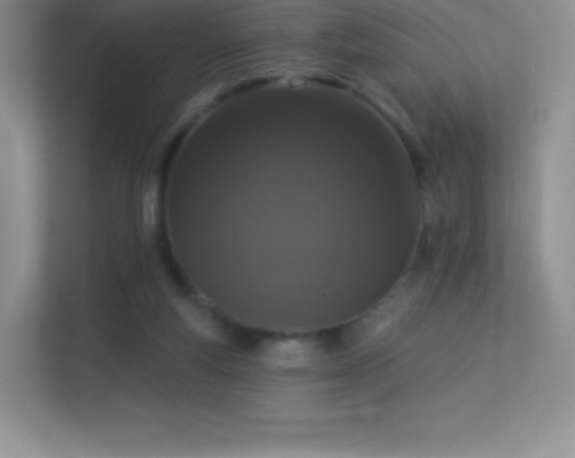 X0000113550163200909251045