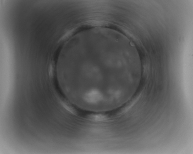 X0000113550165200909251045