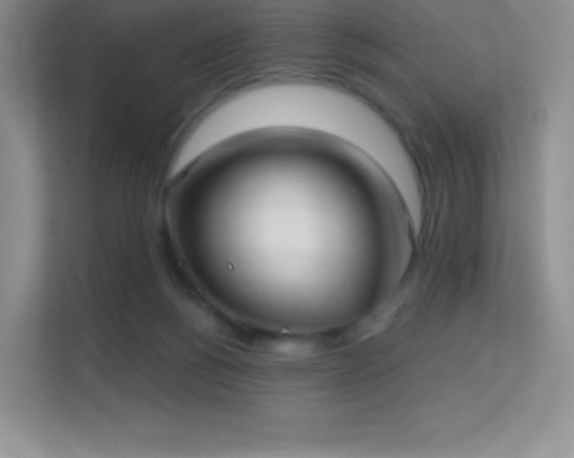 X0000113550168200909251045