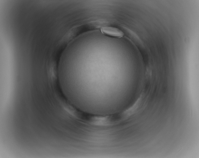 X0000113550170200909251045