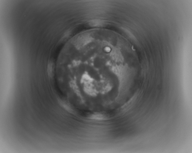 X0000113550171200909251045