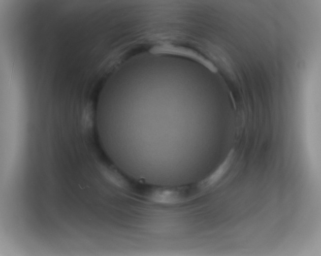 X0000113550174200909251045