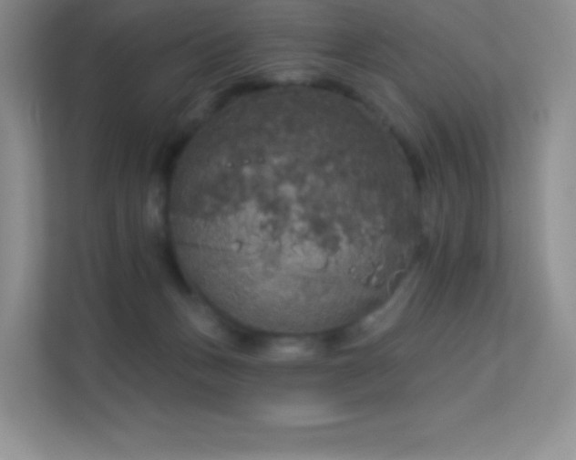 X0000113550175200909251045