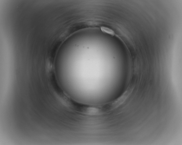 X0000113550176200909251045