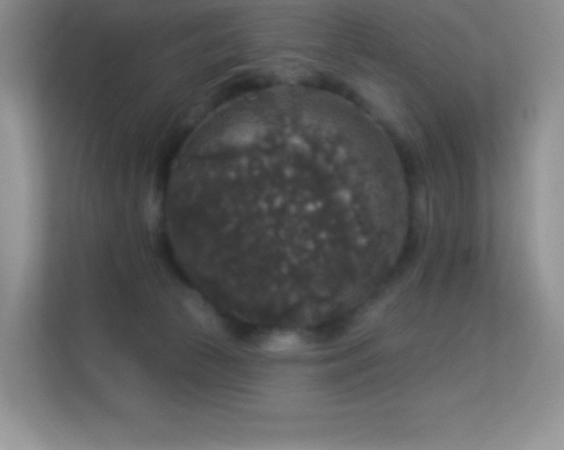 X0000113550177200909251045