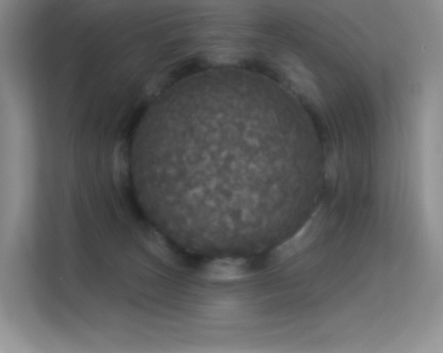 X0000113550179200909251045