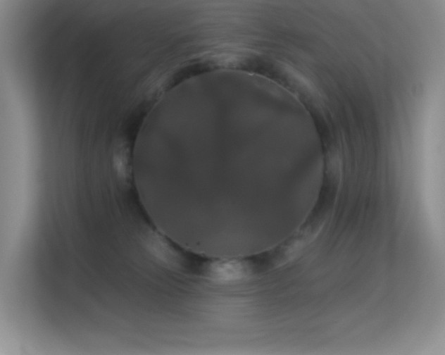 X0000113550181200909251045