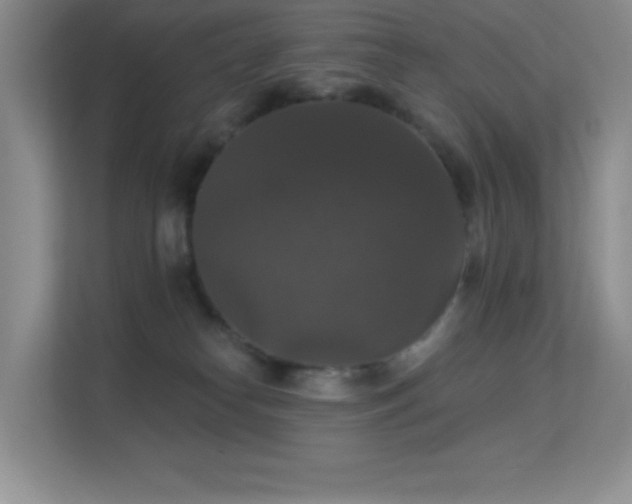 X0000113550182200909251045