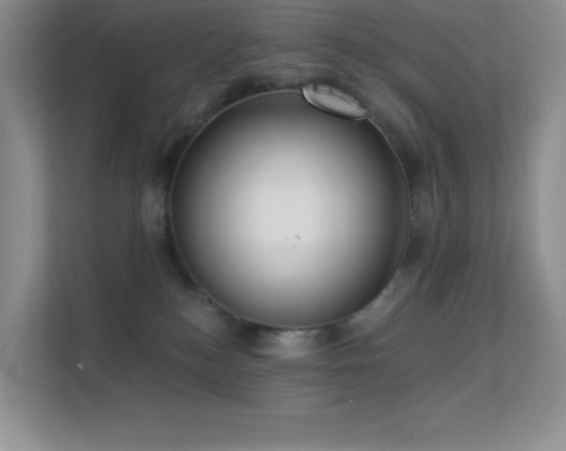 X0000113550184200909251045