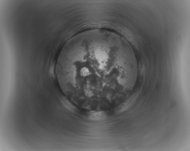 X0000113550185200909251045