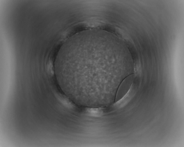 X0000113550187200909251045