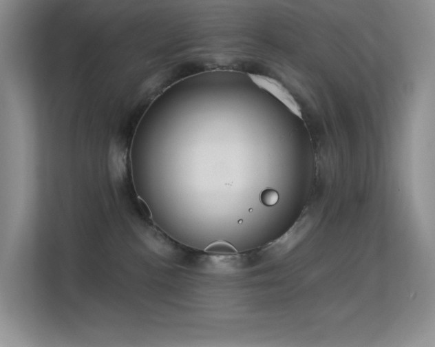 X0000113550188200909251045