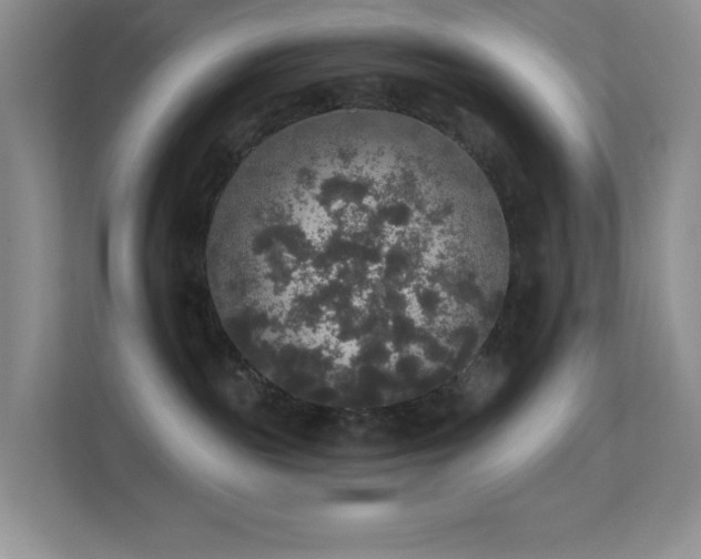 X0000113550189200909251045