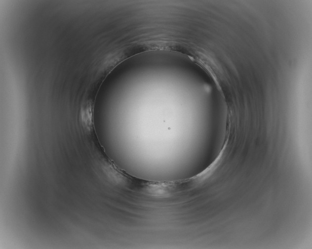 X0000113550190200909251045